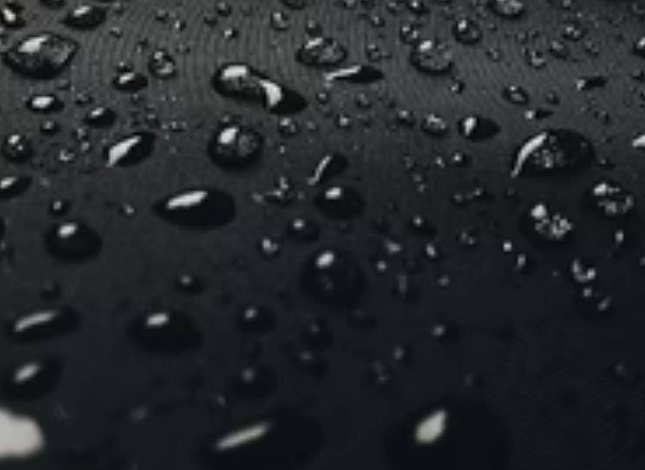 Hedgren_Cocoon_1