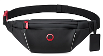 Изображение DELSEY SECURAIN